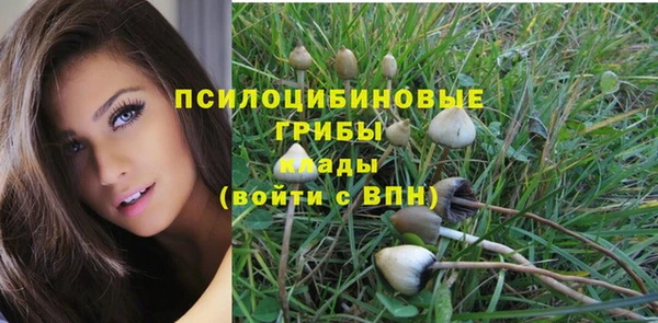 гидропоника Балахна